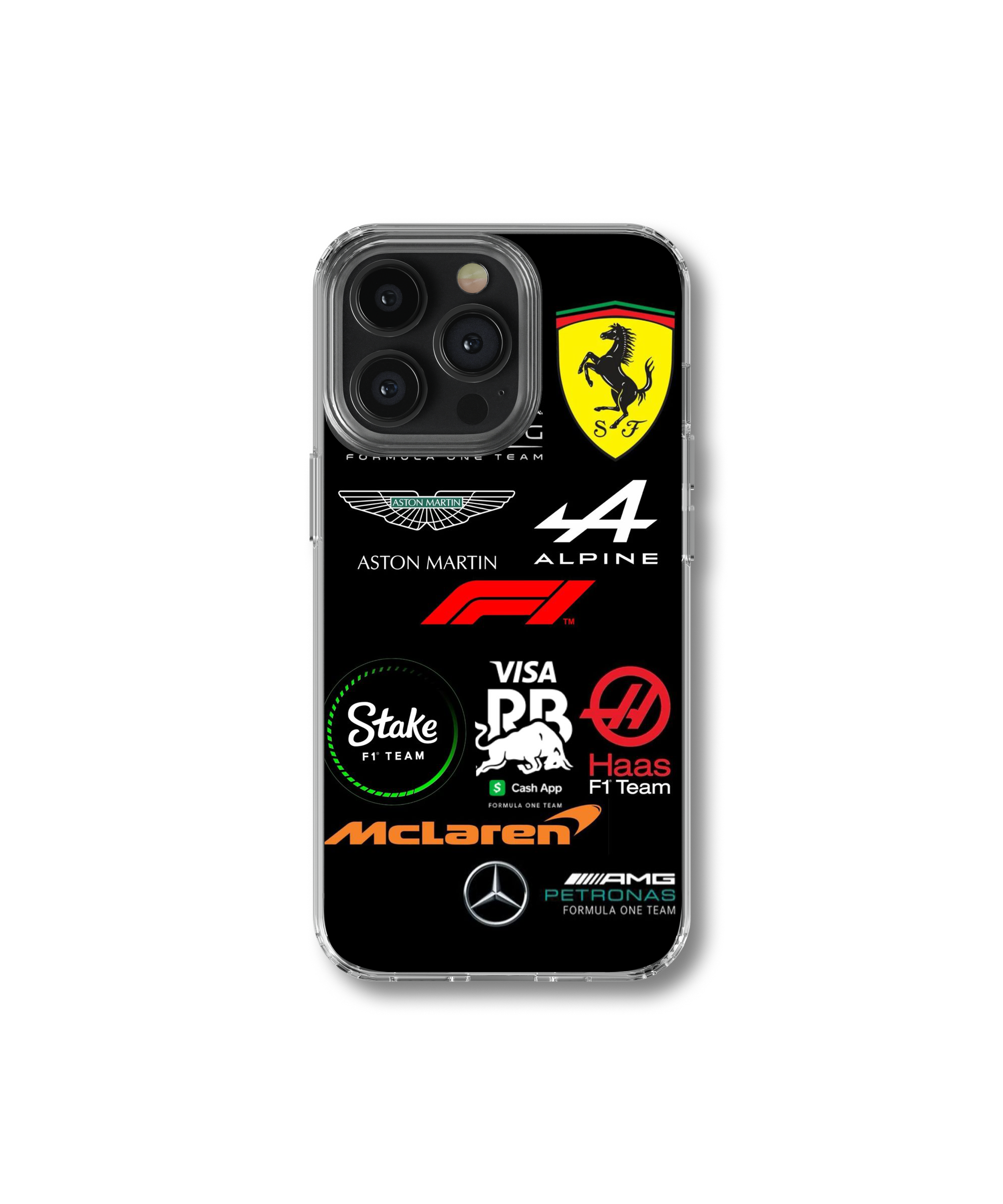 F1 Team Case