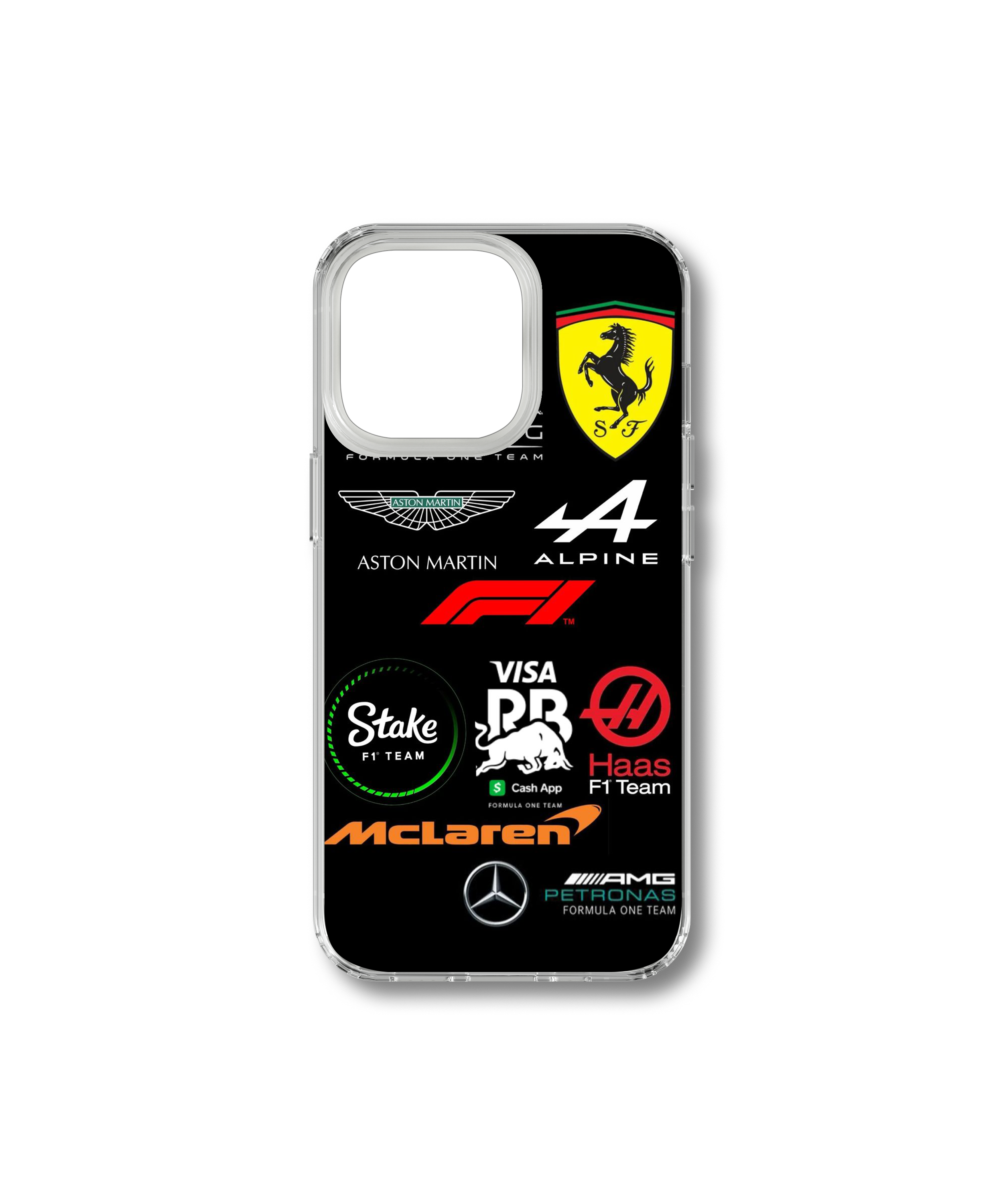 F1 Team Case